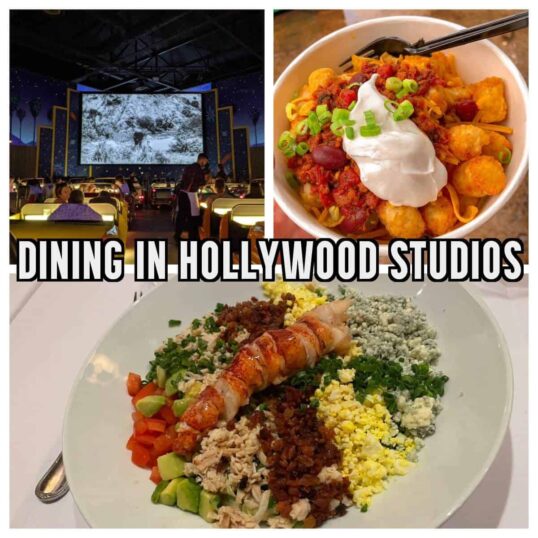Dining In Hollywood Studios