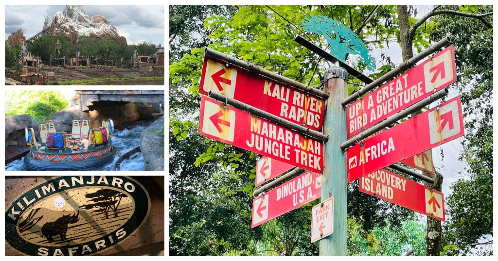The Best Attractions In Animal Kingdom For All Ages
