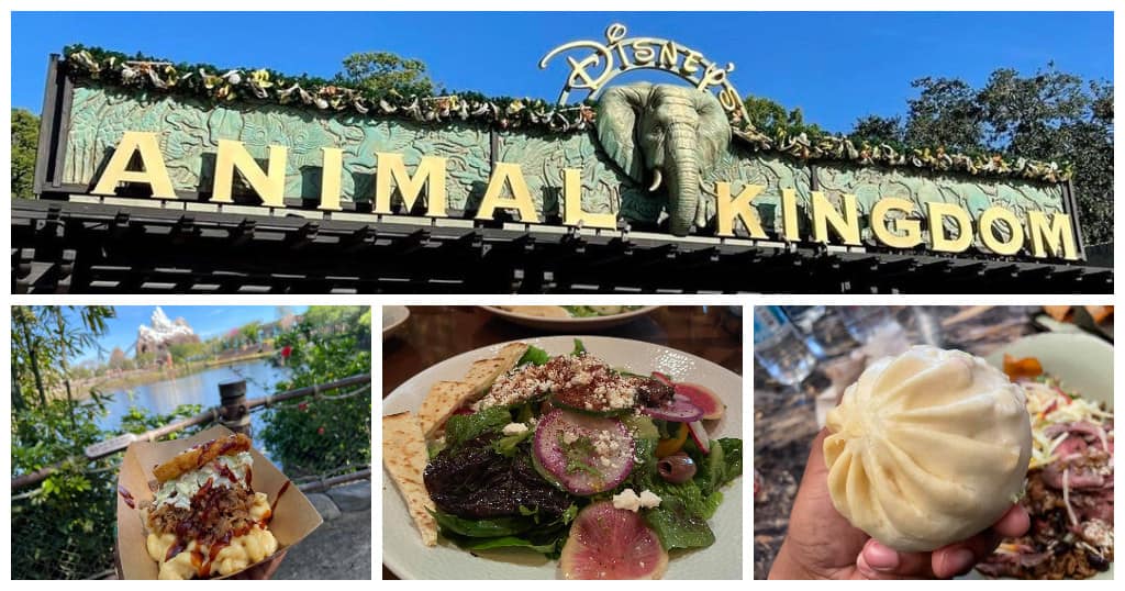 The Best Places to Eat in Animal Kingdom